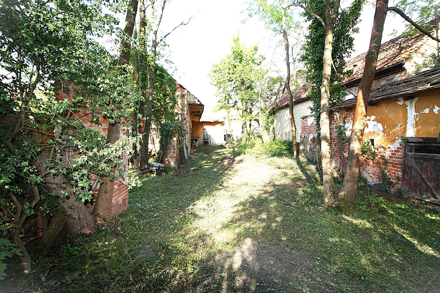Prodej stavebního pozemku 2 338 m² – fotografie 2