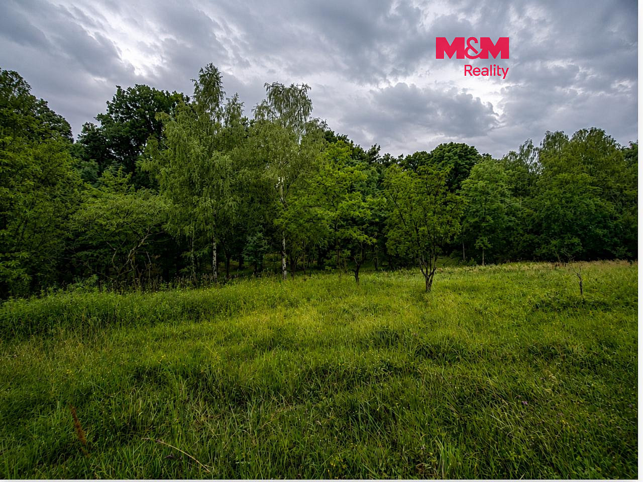 Prodej pole 7 746 m²