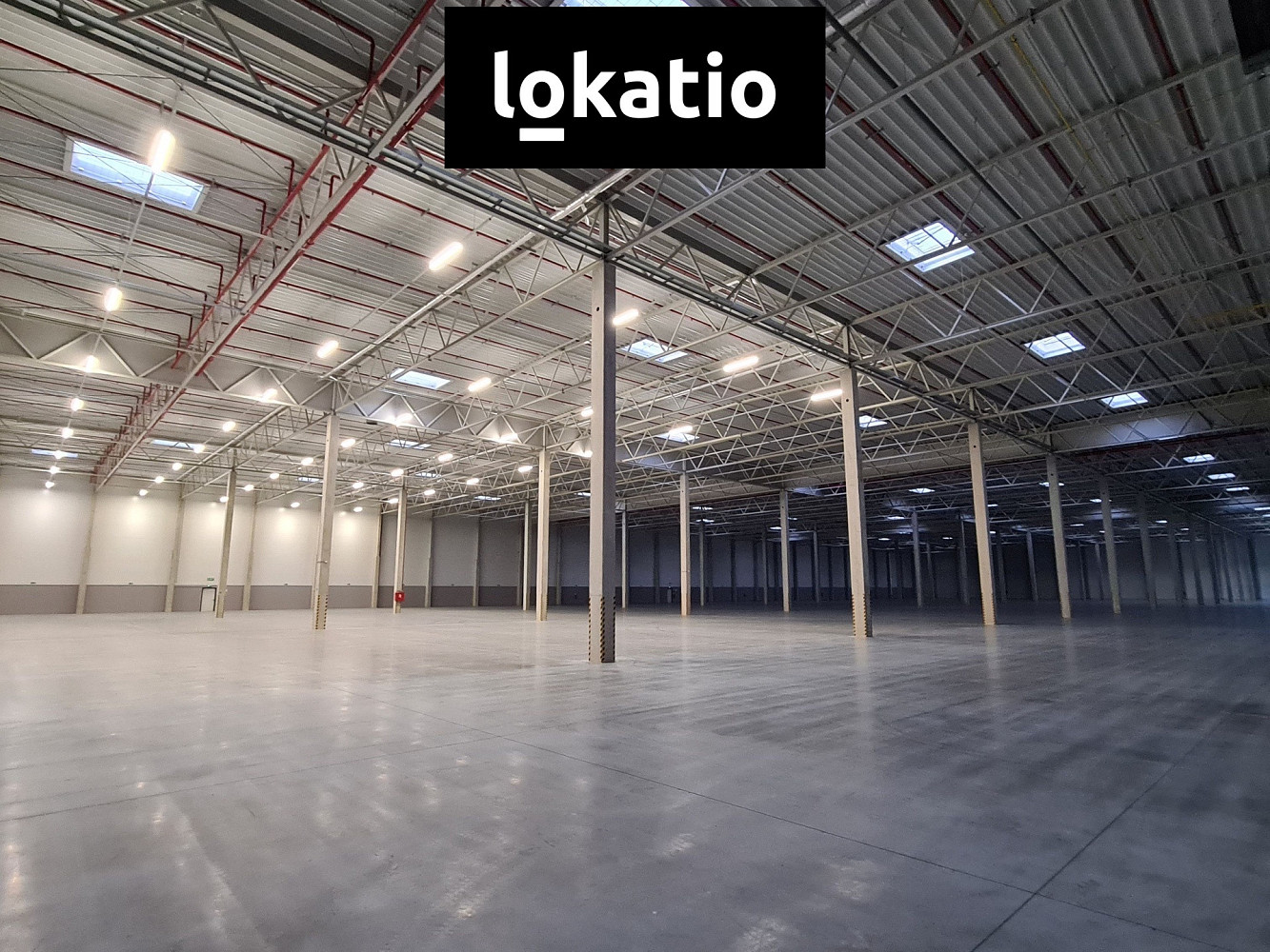 Pronájem skladovacích prostor 5 672 m² – fotografie 3