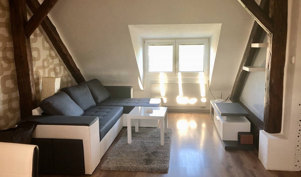 Pronájem bytu 1+kk 40 m², Třešť – náhled fotky 2
