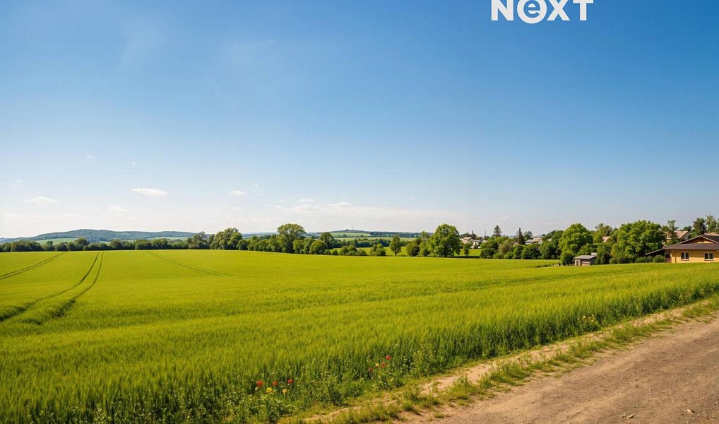 Prodej stavebního pozemku 958 m², Tuklaty – náhled fotky 5