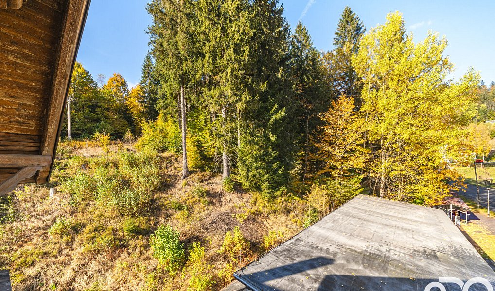 Prodej bytu 1+kk 29 m², Kořenov – náhled fotky 11