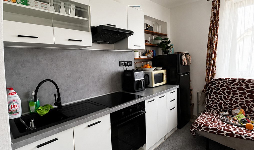 Pronájem bytu 1+1 45 m², Loukovice – náhled fotky 2