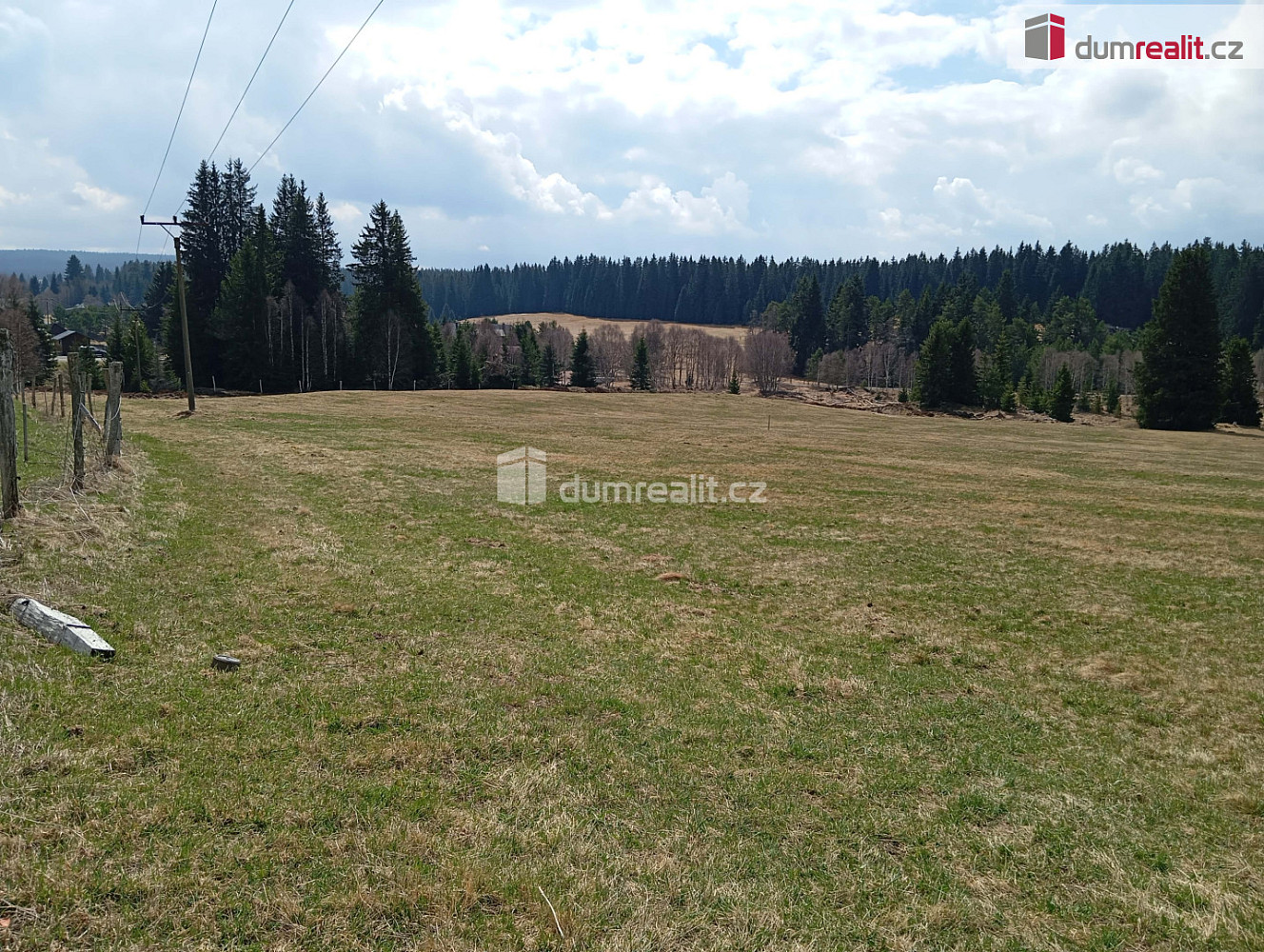 Prodej louky 1 321 m² – fotografie 2