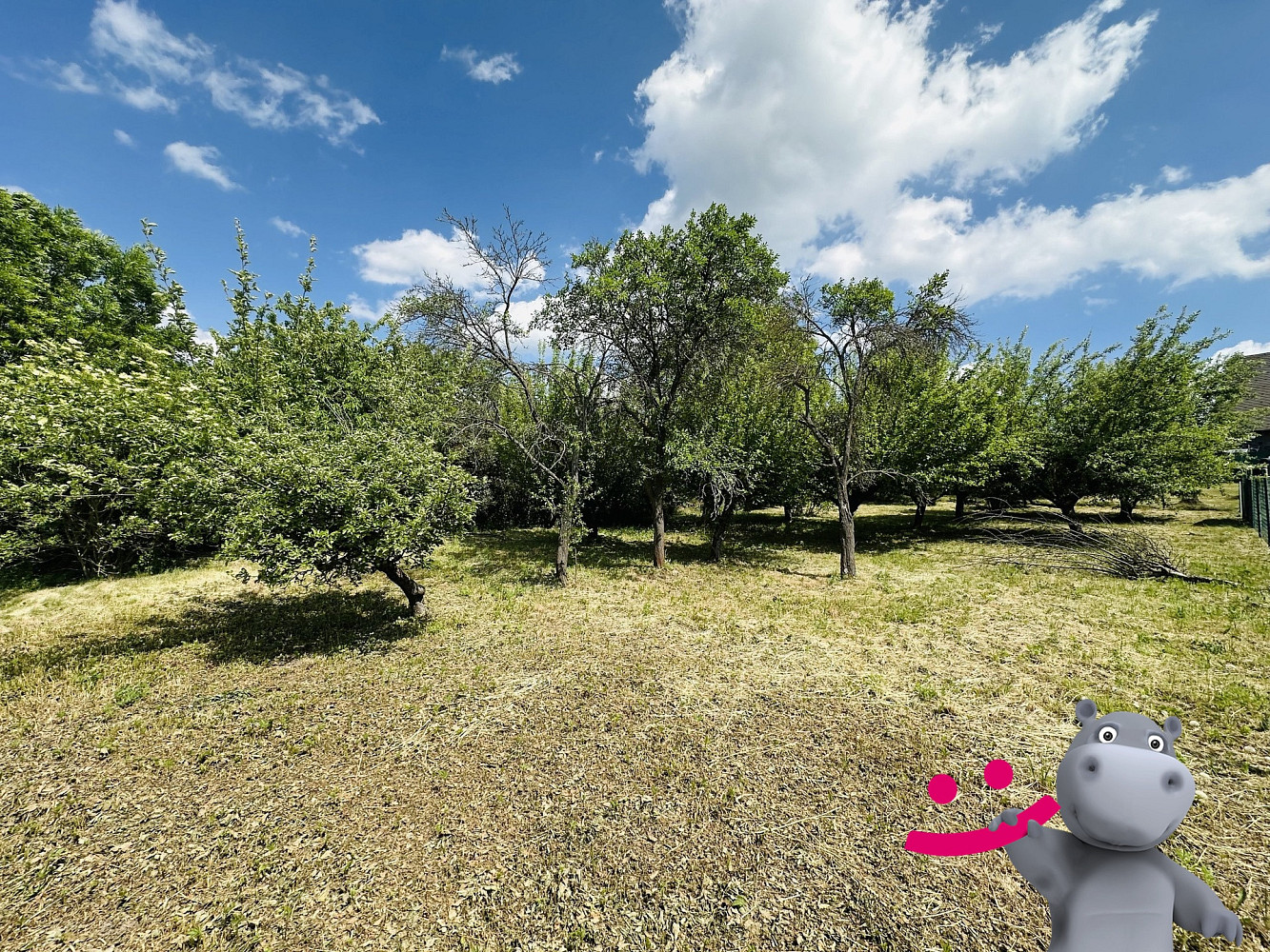 Prodej stavebního pozemku 1 519 m² – fotografie 3