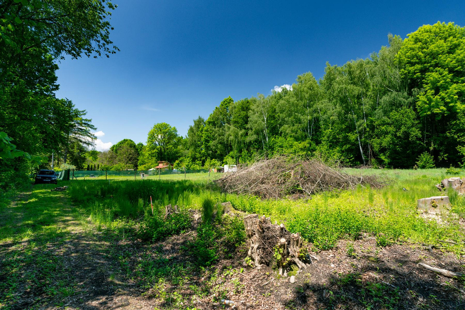 Prodej zahrady 2 646 m² – fotografie 4