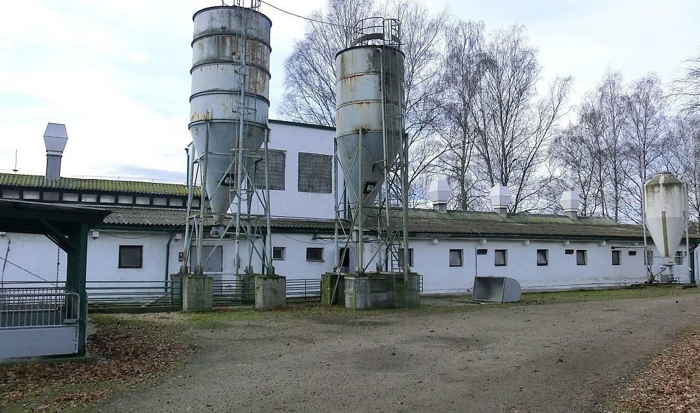 Prodej zemědělského objektu 2 000 m², Majdalena – náhled fotky 20