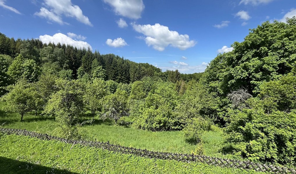 Prodej chaty/chalupy 238 m² s pozemkem 26 144 m², Vsetín – náhled fotky 20