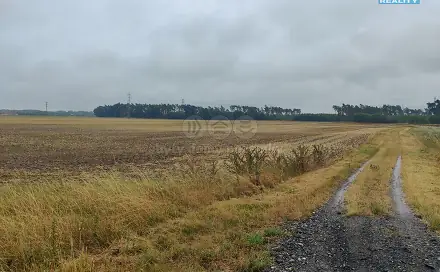 Prodej pole 12 454 m², Veletov, okres Kolín