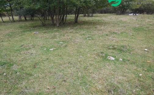 Prodej stavebního pozemku 4 000 m², Konstantinovy Lázně, okres Tachov