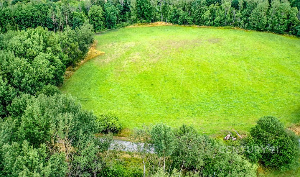 Prodej stavebního pozemku 1 250 m², Bělá pod Bezdězem – náhled fotky 14