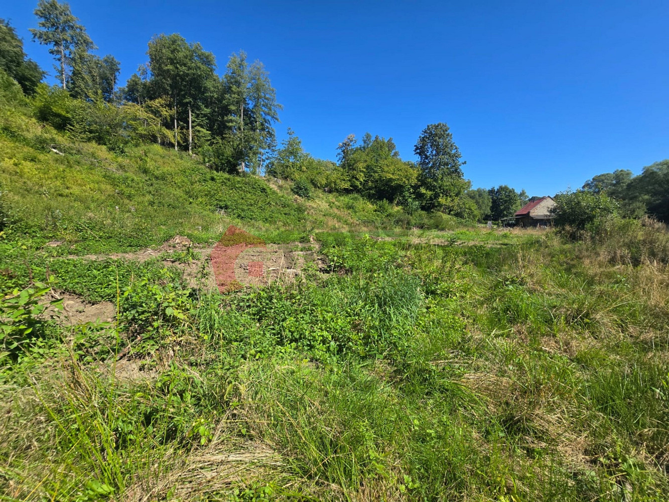 Prodej stavebního pozemku 3 055 m² – fotografie 2