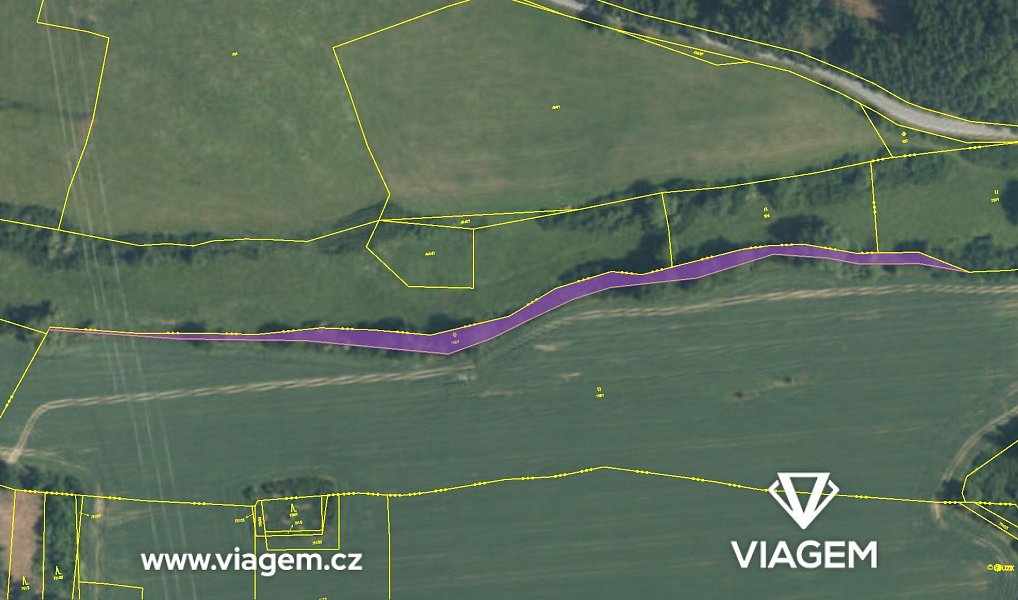 Prodej lesa 2 777 m², Svojšín – náhled fotky 4
