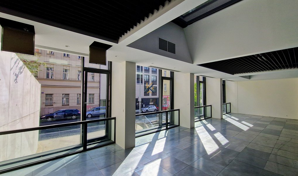 Pronájem kanceláře 345 m², Praha – náhled fotky 4