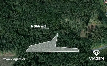 Prodej lesa 3 483 m², Dašice, okres Pardubice