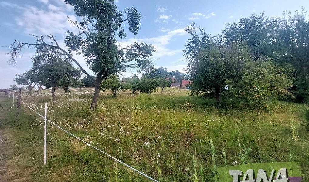 Prodej zahrady 2 566 m², Radostná pod Kozákovem – náhled fotky 2