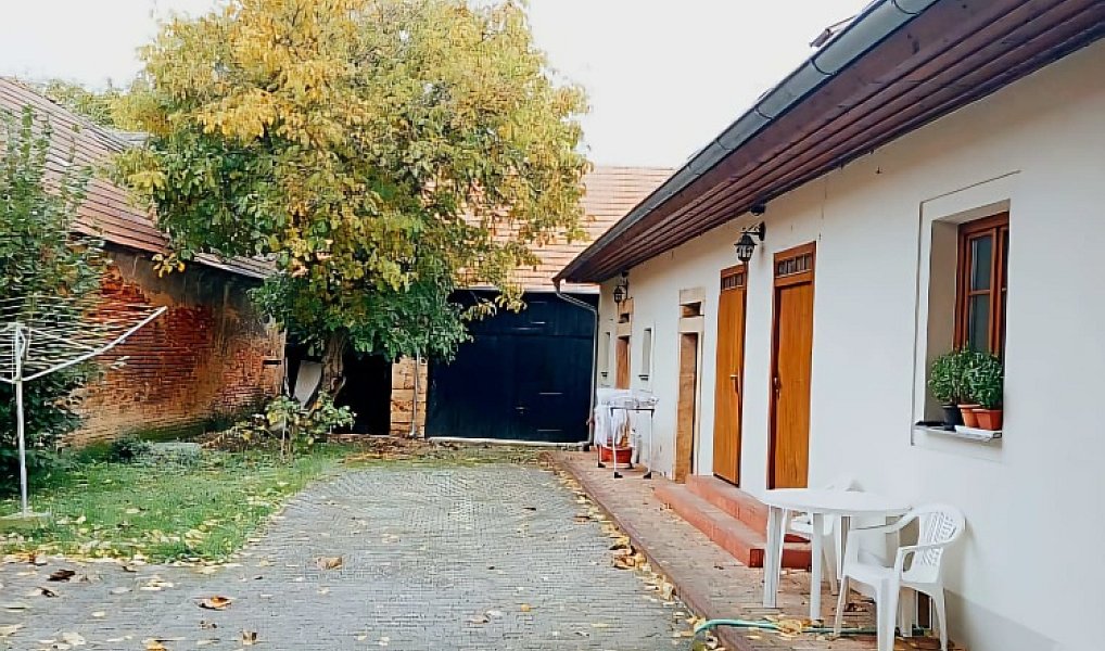 Prodej domu 300 m², Plzeň – náhled fotky 12