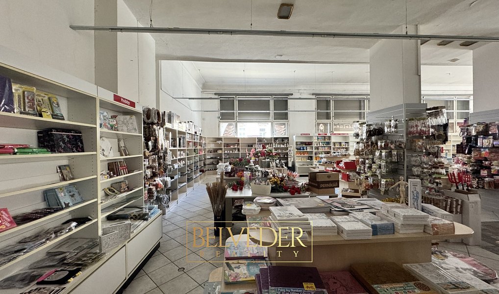 Pronájem obchodních prostor 441 m², Teplice – náhled fotky 2