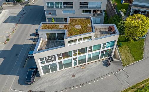 Prodej domu 388 m² s pozemkem 545 m², Oberrieterstrasse, Montlingen, Švýcarsko