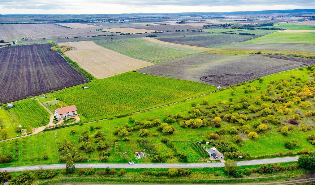 Prodej vinný sklep, 341 m2 - Strachotice, Strachotice – náhled fotky 6