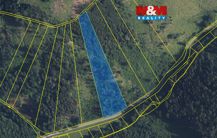 Prodej lesa 12 967 m²