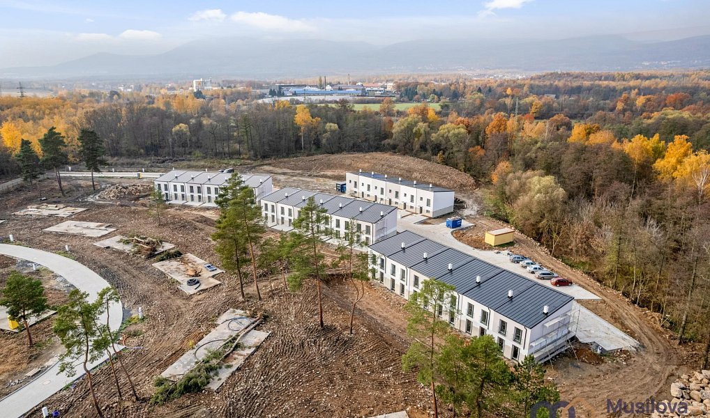 Pronájem domu 92 m² s pozemkem 300 m², Teplice – náhled fotky 29