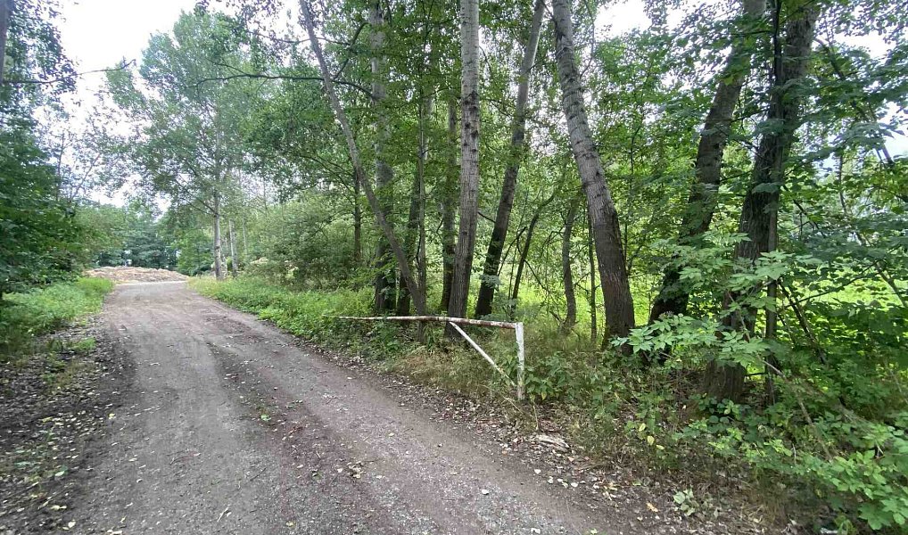 Prodej louky 6 751 m², Nové Hrady – náhled fotky 8