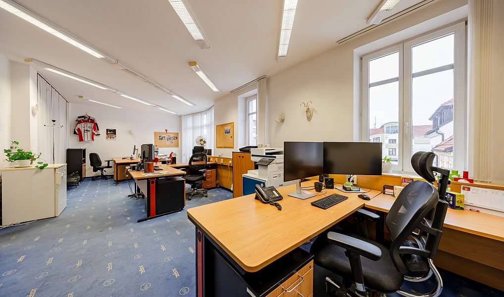 Prodej obchodních prostor 992 m², Uherské Hradiště – náhled fotky 17
