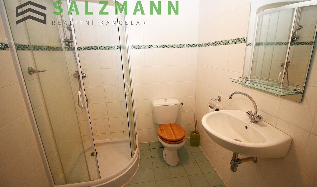 Prodej domu 220 m² s pozemkem 909 m², Hostouň – náhled fotky 24