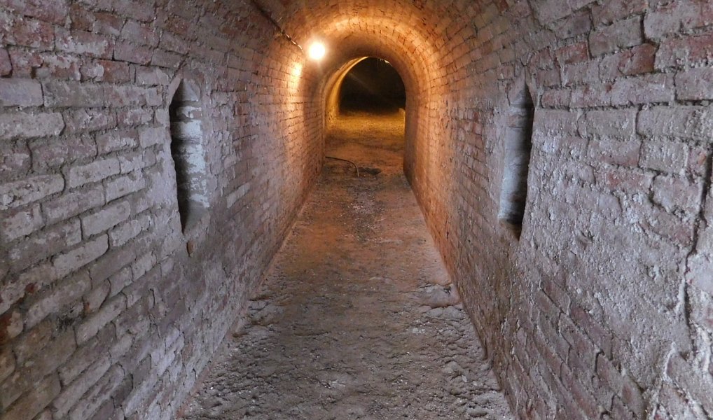 Ostatní