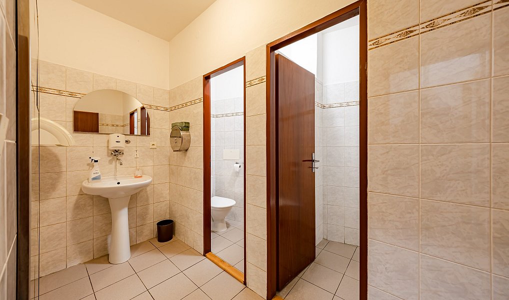 Prodej obchodních prostor 440 m², Bojkovice – náhled fotky 24