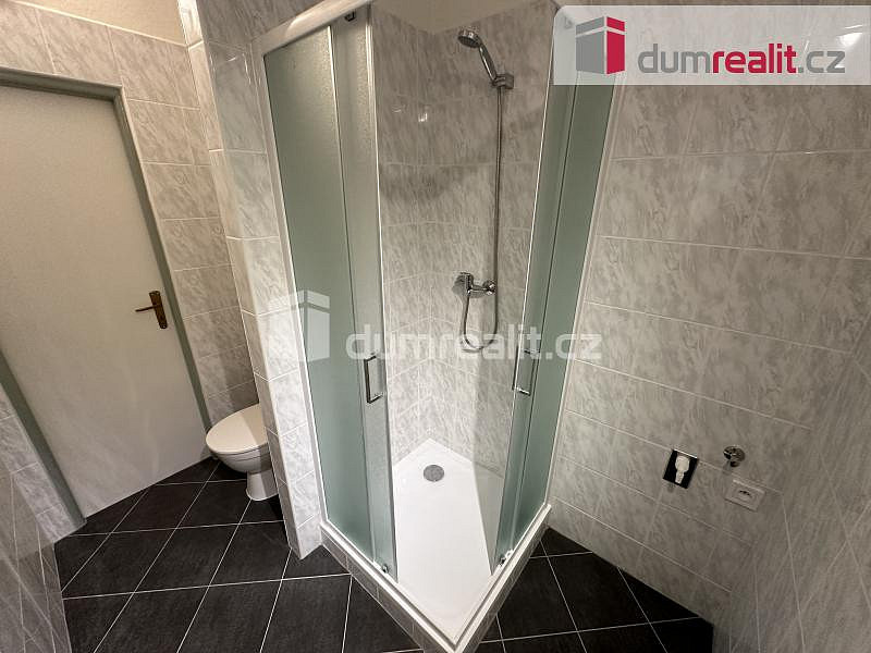 Pronájem bytu 1+1 40 m² — photo 3