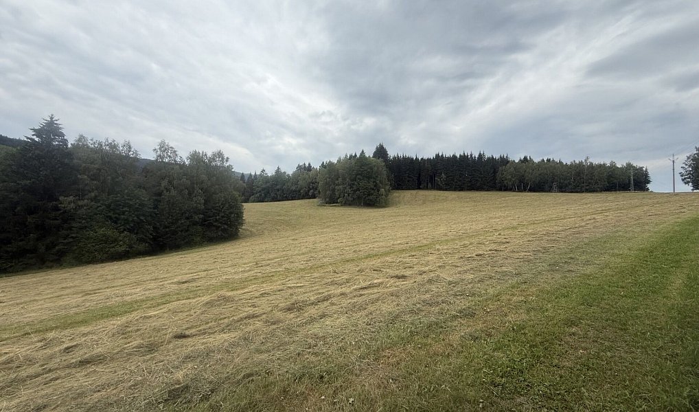 Prodej louky 84 928 m², Hamry – náhled fotky 8