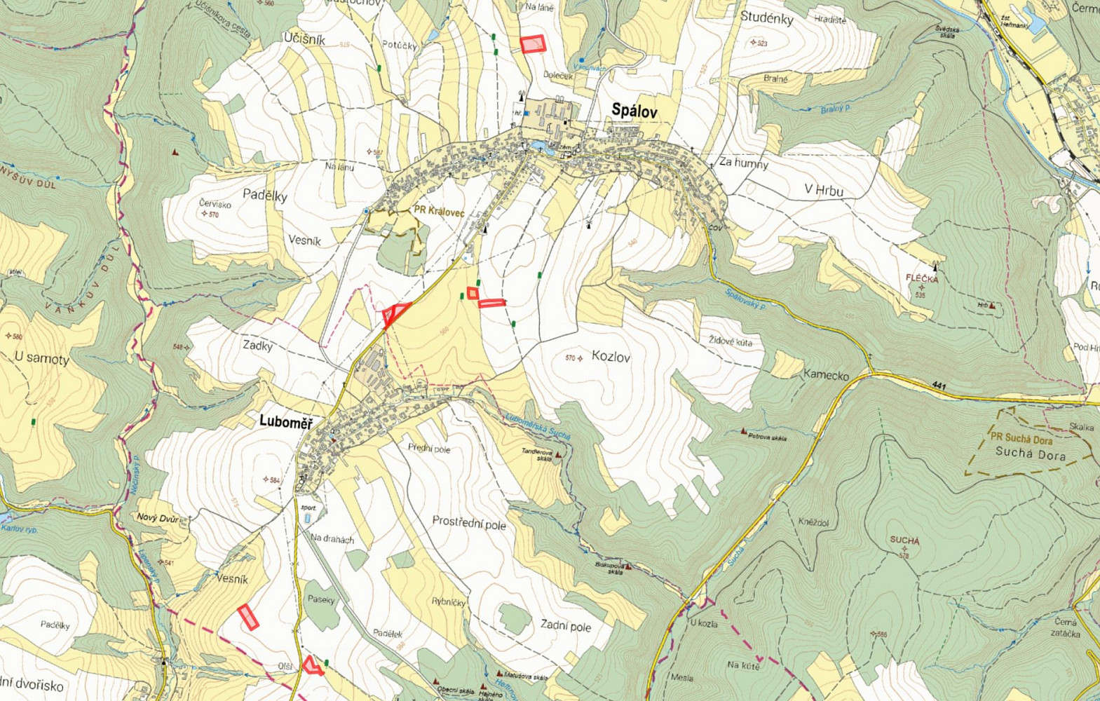 Prodej pole 42 912 m² — photo 4
