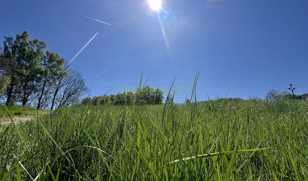 Prodej stavebního pozemku 40 342 m², Jiřetín pod Jedlovou – náhled fotky 19