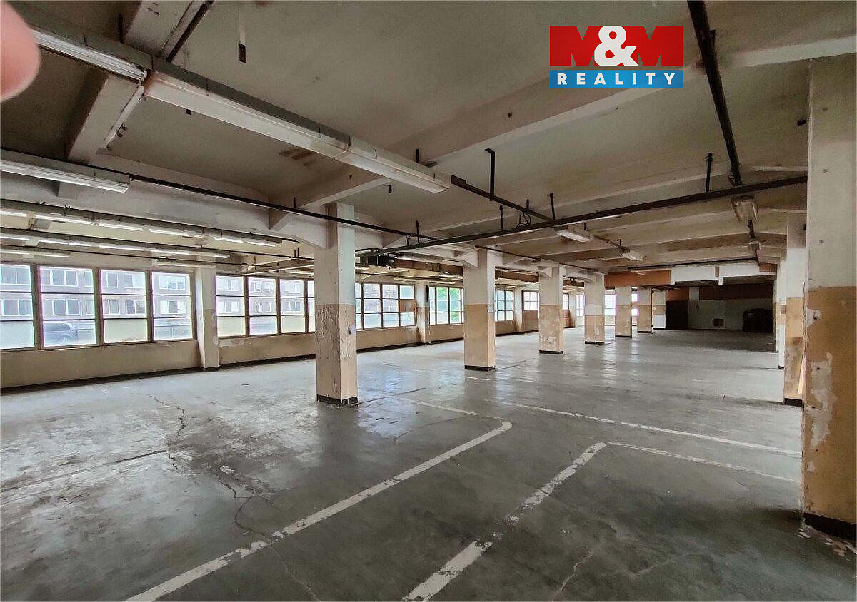 Pronájem obchodních prostor 700 m²