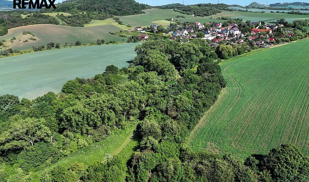 Prodej lesa 5 841 m², Skršín – náhled fotky 11