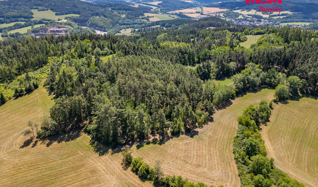 Prodej louky 36 981 m², Nišovice – náhled fotky 5