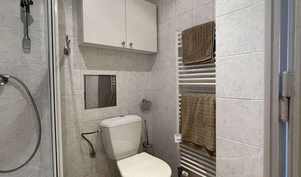 Pronájem bytu 1+1 62 m², Praha – náhled fotky 12