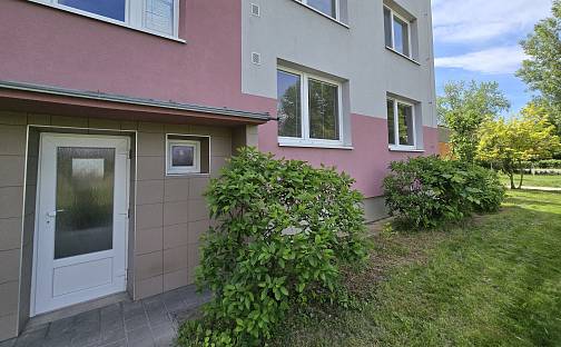 Prodej bytu 2+1 63 m², sídl. Družba, Židlochovice, okres Brno-venkov