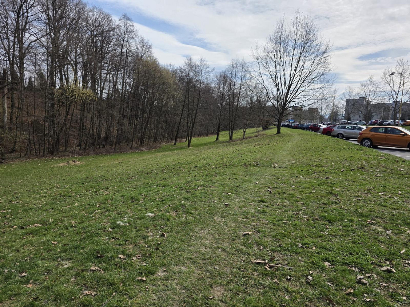 Prodej komerčního pozemku 2 561 m² – fotografie 5