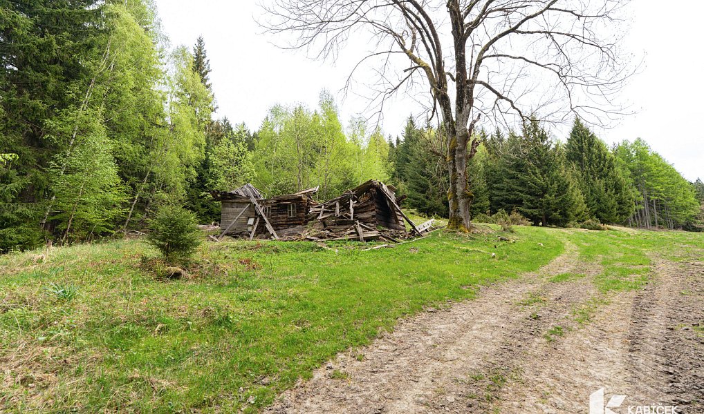 Prodej chaty/chalupy 94 m² s pozemkem 934 m², Velké Karlovice – náhled fotky 3