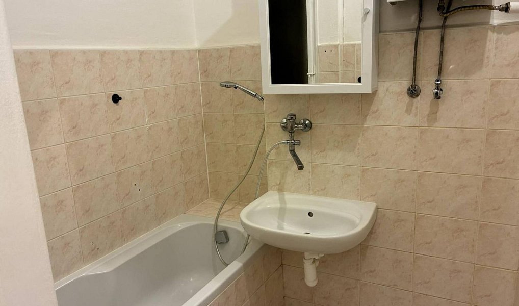 Pronájem bytu 2+kk 49 m², Praha – náhled fotky 8
