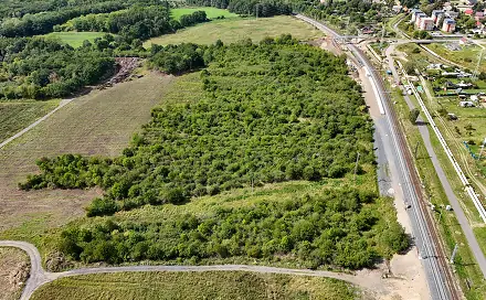 Prodej lesa 13 802 m², Málkov, okres Chomutov