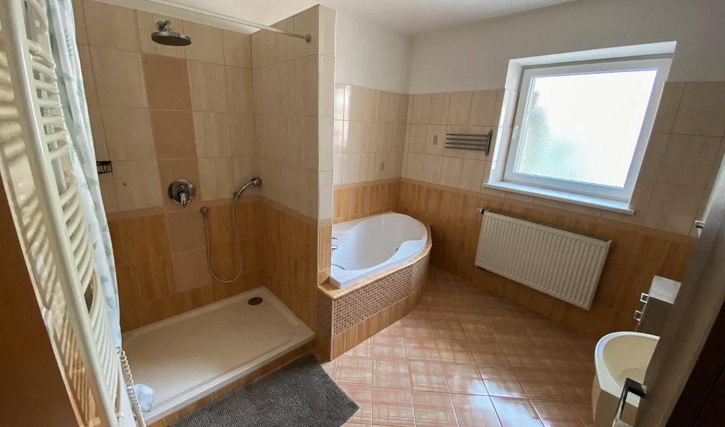 Prodej domu 261 m² s pozemkem 218 m², Slavkov u Brna – náhled fotky 8