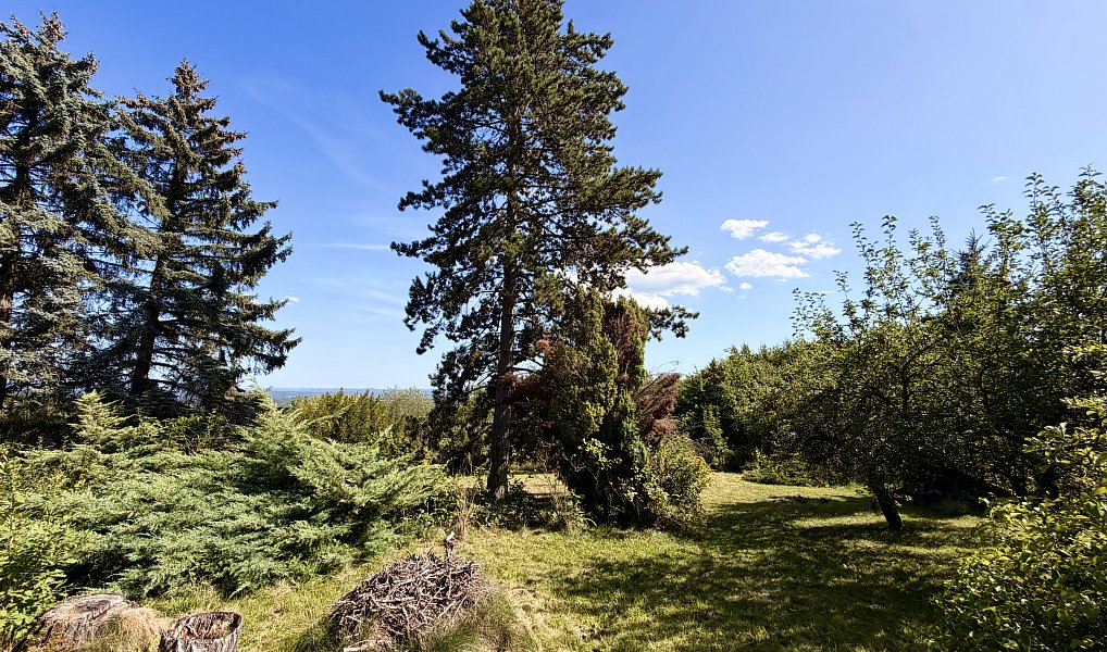 Prodej stavebního pozemku 1 510 m², Černolice – náhled fotky 17