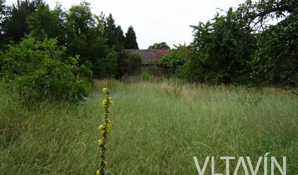 Prodej domu 150 m² s pozemkem 3 266 m², Mělník – náhled fotky 25