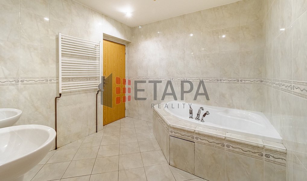Prodej ubytovacího objektu 432 m², Ražice – náhled fotky 6