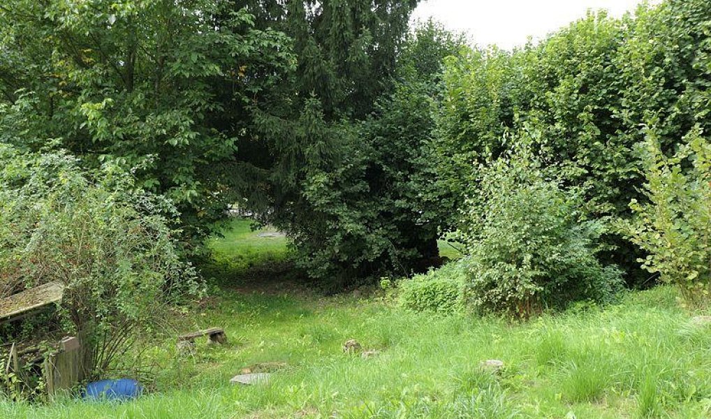 Prodej chaty/chalupy 20 m² s pozemkem 364 m², Hronov – náhled fotky 8