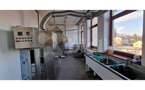 Pronájem výrobních prostor 350 m², Pražská, Třebíč - Borovina